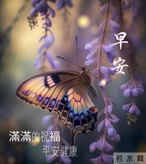早安,以花寄暖,日常皆安。