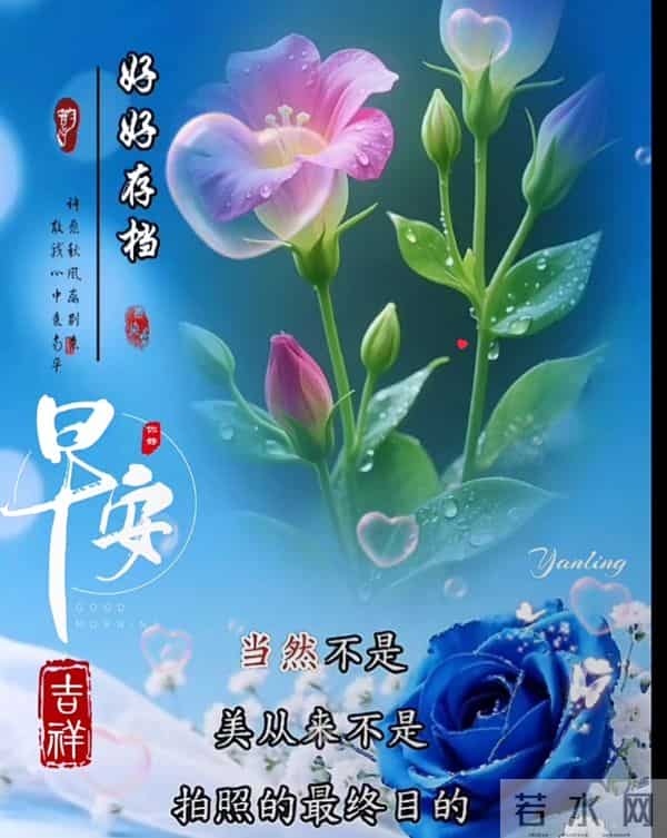 12月9日早上好 平凡的生活有知已和朋友 美好的清晨不忘牵挂与问候