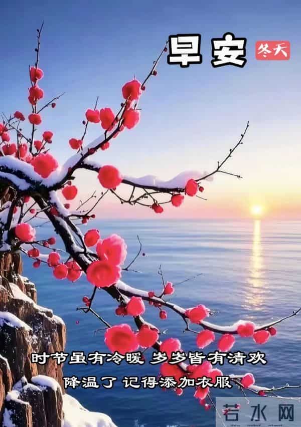 2025.12.10 冬天周三早安愉快！最新精美周三早上好温馨祝福语图片