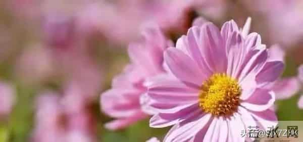 忠告子女:再孝顺,也不要为年过70的老父老母,做这4件事