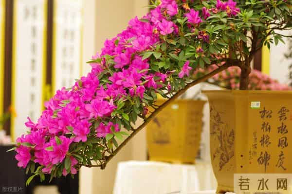 婚姻是张硬纸——回首往事（5）（二）