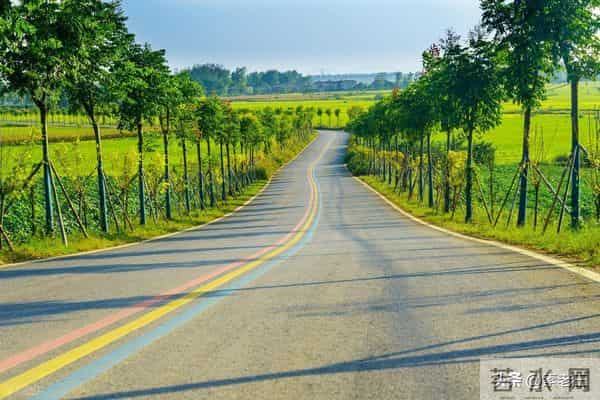 关东风雪情——公公进城(133)