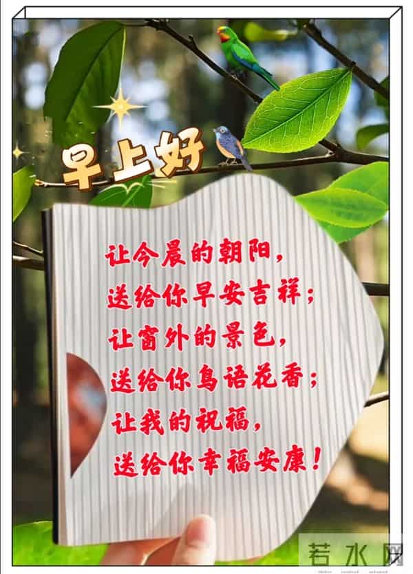 晨间问候，四季暖意