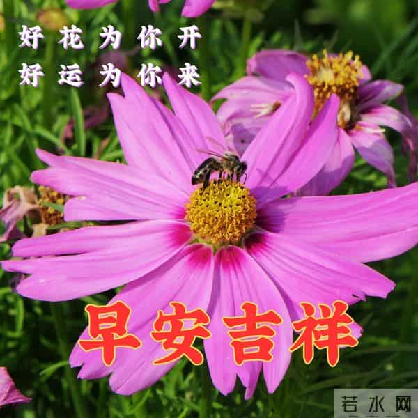 2025.12.09早安问候漂亮图片祝福美图