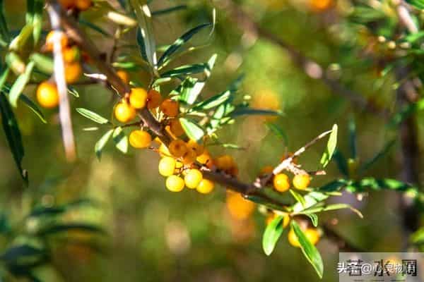 男人爱你”和“男人玩你”，身体语言不会说谎。