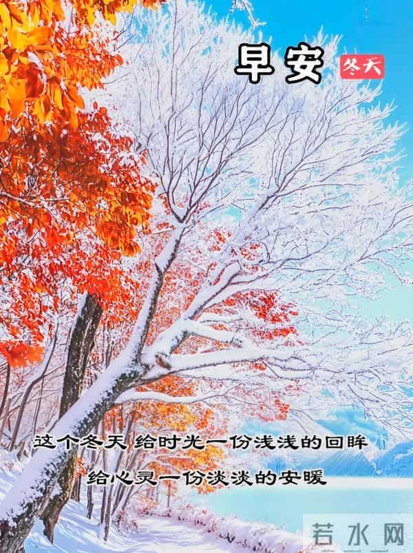 2025年12月10日周三早安 早上好图片最新今天 温馨淡雅的早安图片