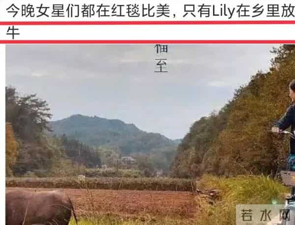 躲也躲不掉!“消失”大半年,再看赵丽颖真实处境,邬君梅说对了