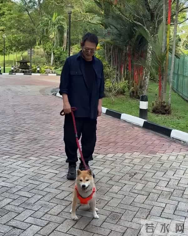 不装了!被"换心脏、换血"传闻缠身的李连杰,终于不再隐瞒