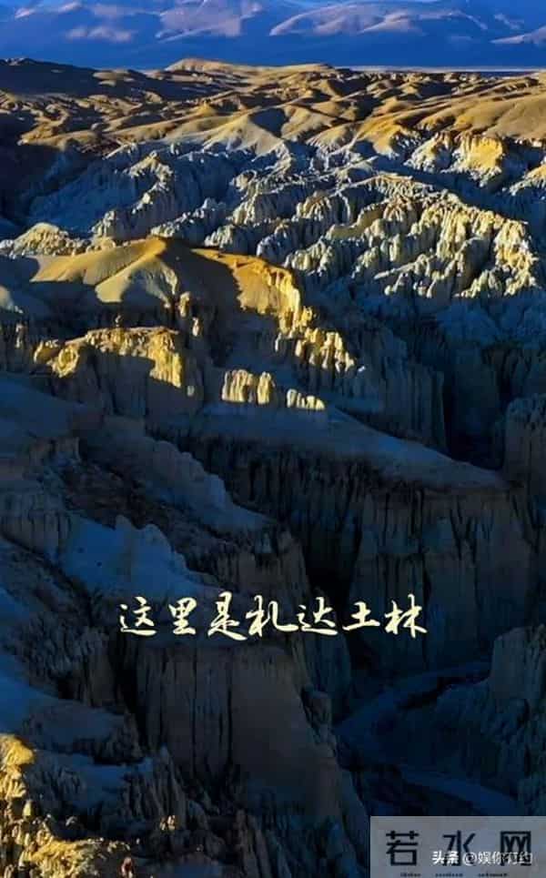 善恶终有报,从"央视一姐"到销声匿迹,57岁王小丫早已走上另一条路