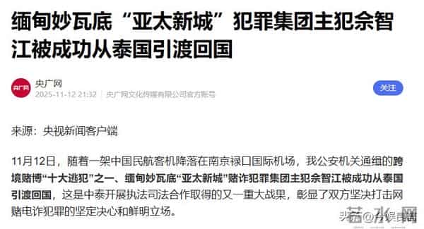 拔出萝卜带出泥！49岁赵薇近况被曝，原来圈内封杀只是冰山一角