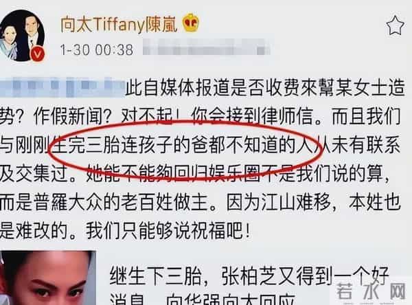 张柏芝庭审崩溃背后:14年的千万官司,扯出娱乐圈最脏的遮羞布