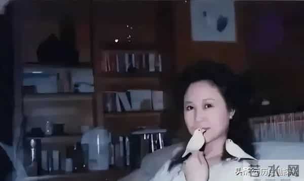 琼瑶和丈夫平鑫涛，在昆明石林旅游时，一张珍贵的合影，很浪漫