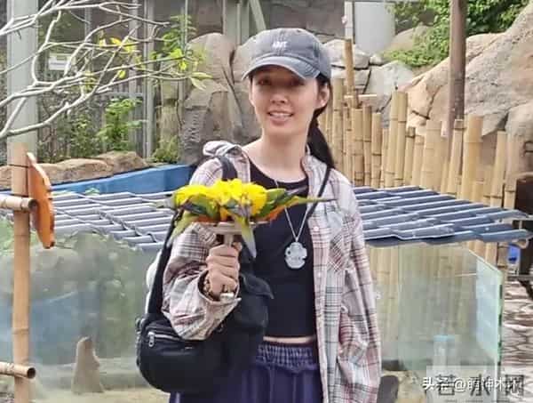 郭碧婷自曝和向佐两地分居，靠孩子联络感情，婆婆向太给钱大手笔