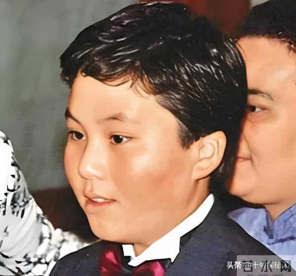 临终将“私生子”托付给何超琼,赌王下的这盘大棋,五年后才看懂