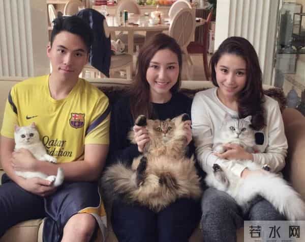 何超琼没想到，72岁陈婉珍再迎喜讯，让梁安琪和香港阔太圈沉默了