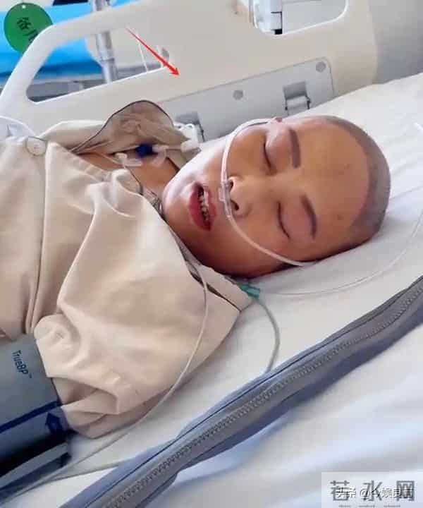 拔出萝卜带出泥！49岁赵薇近况被曝，原来圈内封杀只是冰山一角