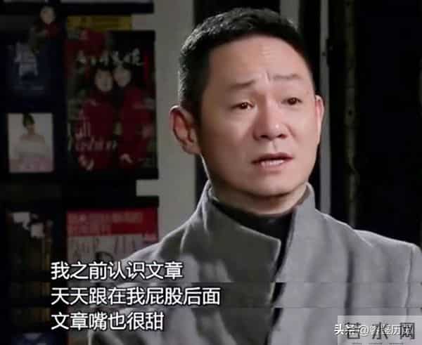 马伊琍没撒谎！离婚6年后，“老病复发”的文章，再次证实她眼光