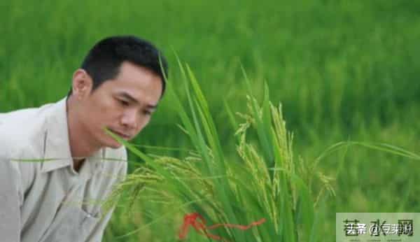 16年前，曾在爱妻葬礼上哭到昏厥，永不再娶的果靖霖，如今怎样了