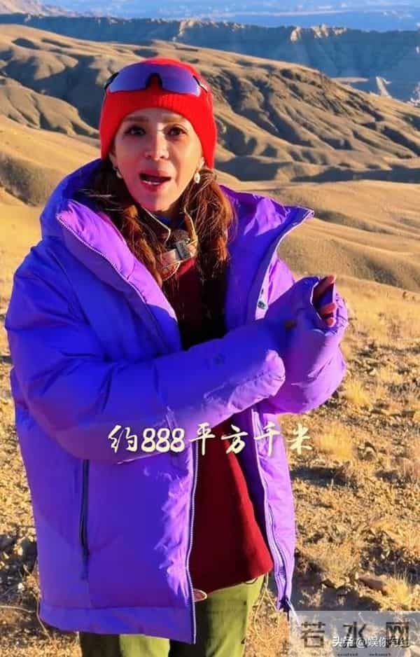 善恶终有报,从"央视一姐"到销声匿迹,57岁王小丫早已走上另一条路