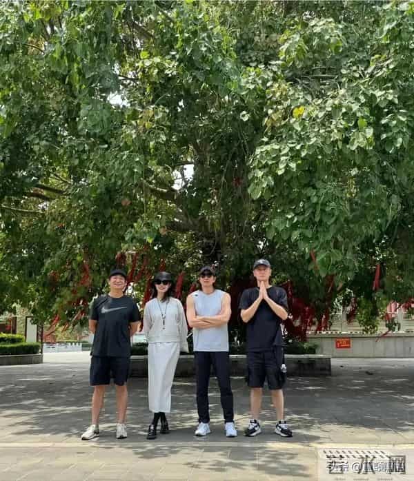 不合影不知道，一合影全露馅！原来这些明星都是潜藏的“小土豆”