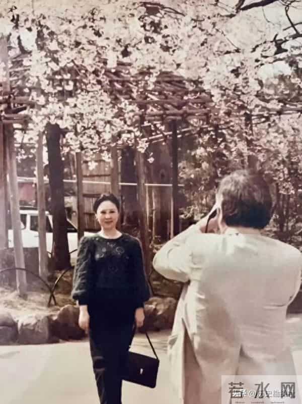 琼瑶和丈夫平鑫涛，在昆明石林旅游时，一张珍贵的合影，很浪漫