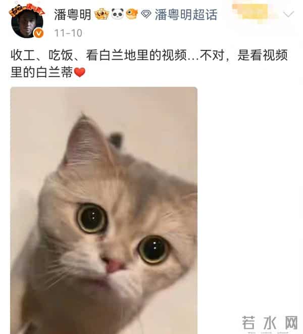 演员饶芯语:结婚11年,如今丈夫王奎荣78岁了,她的婚姻幸福吗