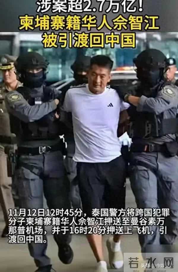 拔出萝卜带出泥！49岁赵薇近况被曝，原来圈内封杀只是冰山一角