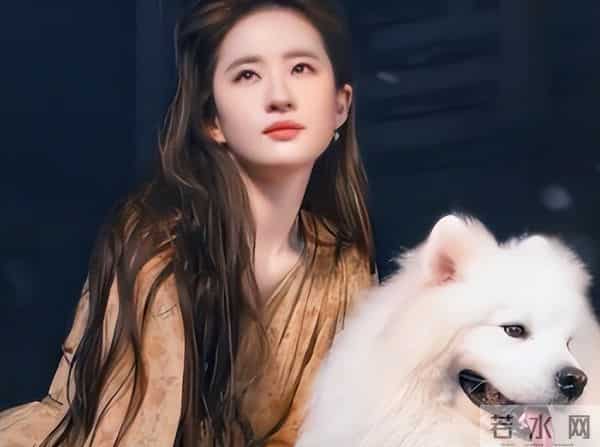 国内挣钱国外花？被金鹰奖"除名"的刘亦菲，终是为母亲的糊涂买单