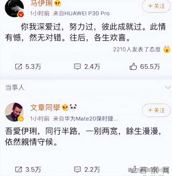 向太不再隐瞒!曝马伊琍与文章离婚真相,原来我们都错怪姚笛了