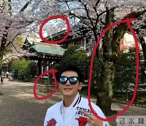 拔出萝卜带出泥！49岁赵薇近况被曝，原来圈内封杀只是冰山一角