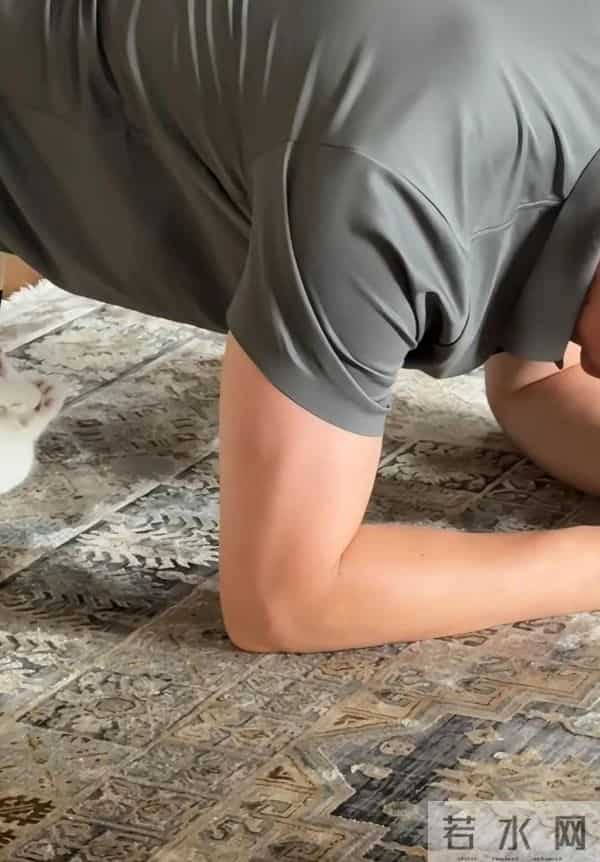 张馨予晒广州豪宅内景，老公何捷在客厅健身撸猫，37岁一身腱子肉