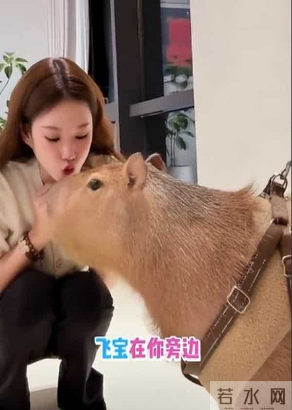 马筱梅6月孕肚曝光!只睡4小时坚持直播太拼命,员工透露胎儿性别