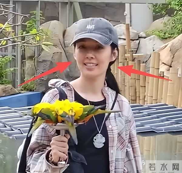 郭碧婷自曝豪门婚姻：向太给很多钱，早和向佐分居，生孩子没人逼