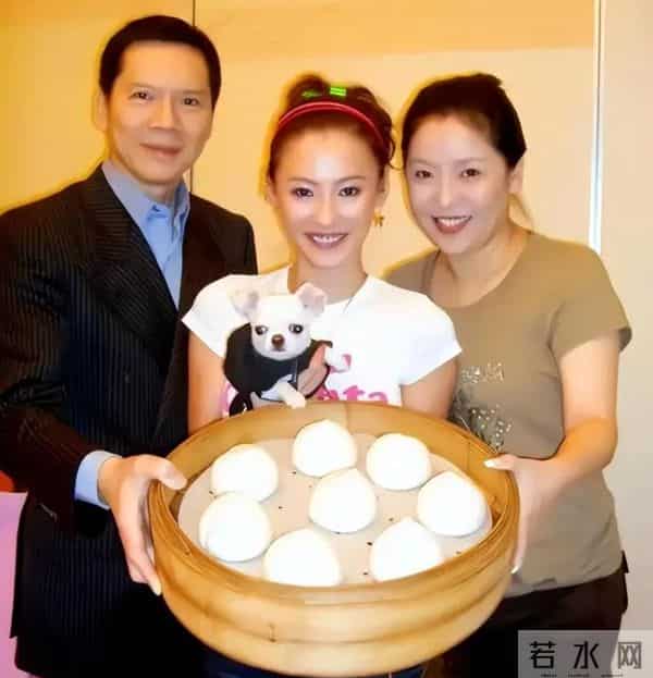 越扒越有!张柏芝被追债牵出,与三任经纪人反目过,理由出奇一致