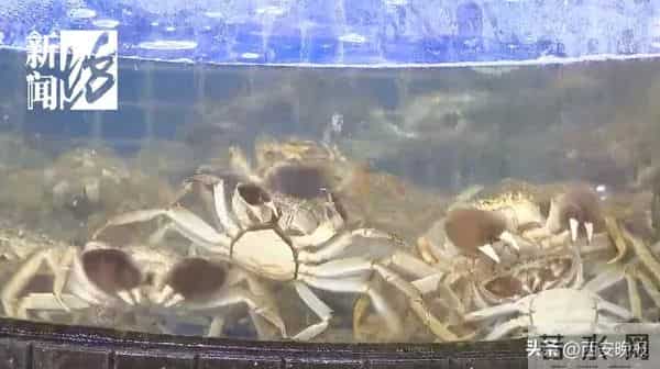 乔任梁爸爸被曝住院,"下了危重通知"！真相让人心酸…