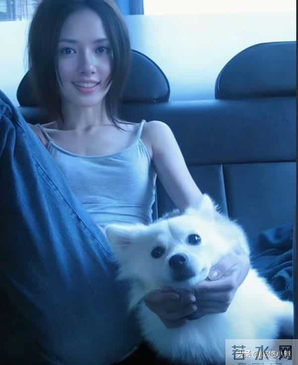 时隔9年,41岁郭碧婷再台露面,首谈婆媳关系,和向佐长期分居!