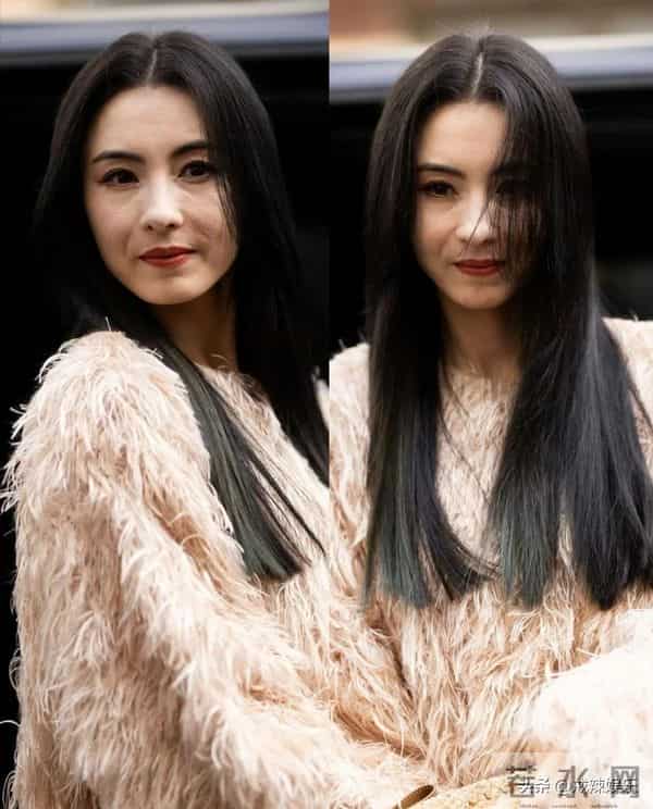 张柏芝庭审大哭,助理称手机掉马桶,滑稽戏一幕又一幕!金句频出