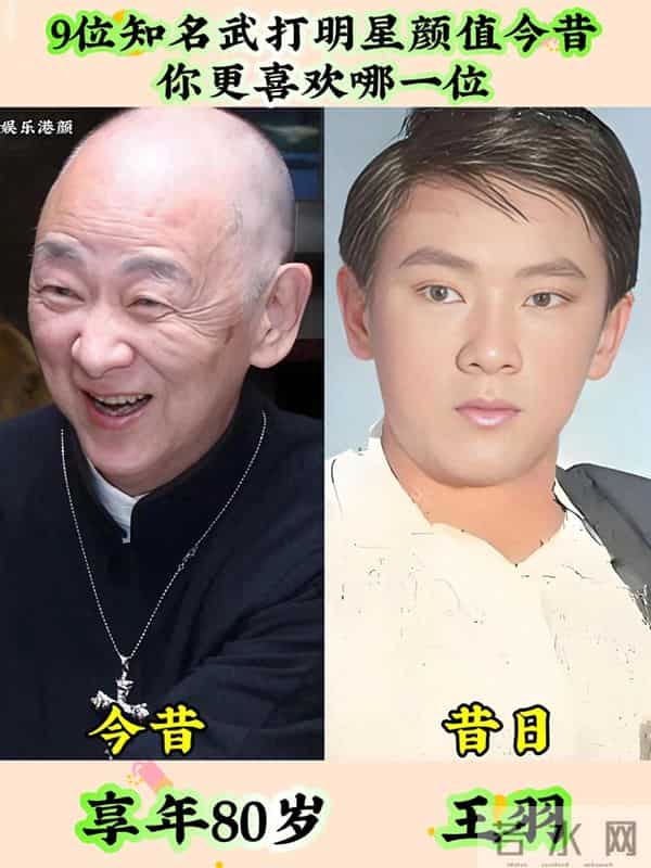 知名武打明星演员颜值今昔,有的变化较大,你认识几位呢