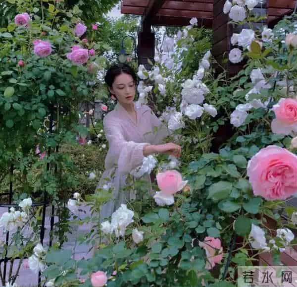 张馨予晒广州豪宅内景，老公何捷在客厅健身撸猫，37岁一身腱子肉