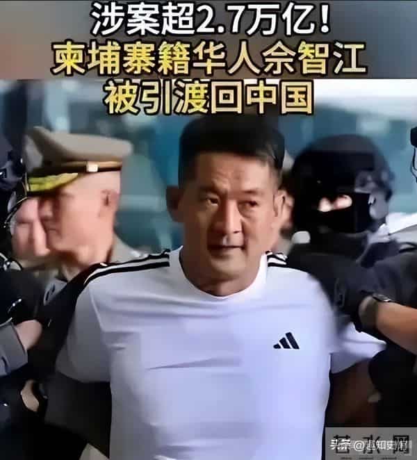 面相又变了!49岁赵薇广东吃饭,又老又瘦没架子,却再无回头路走