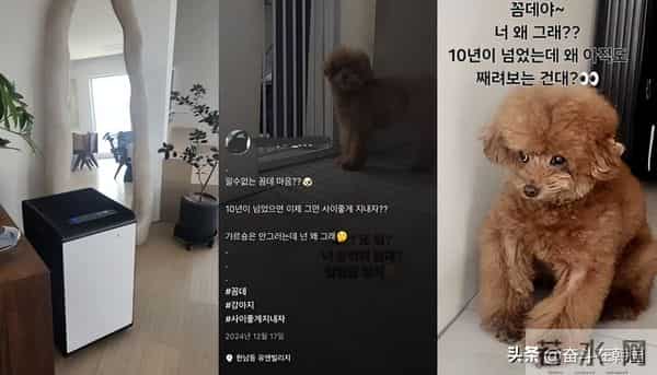 爱豆、歌手、演员…她这次争议牵扯多少人?