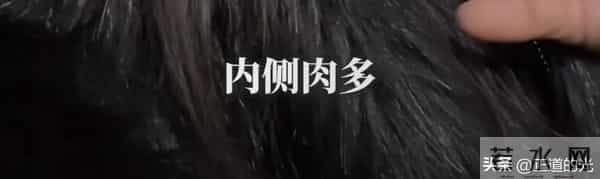 伊能静年近60岁 穿露脐肚兜 额头有包 医美后遗症 因庾澄庆超爱摇滚风