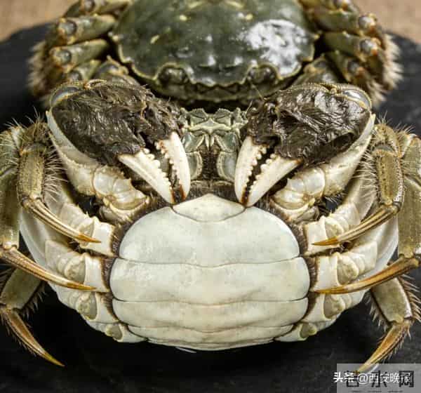 乔任梁爸爸被曝住院,"下了危重通知"！真相让人心酸…