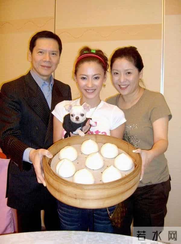 张柏芝再次出庭，被当庭爆出向太封杀内幕，含泪回应没法说