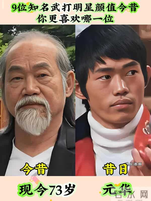 知名武打明星演员颜值今昔,有的变化较大,你认识几位呢