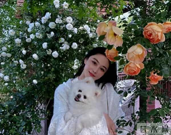 张馨予晒广州豪宅内景，老公何捷在客厅健身撸猫，37岁一身腱子肉