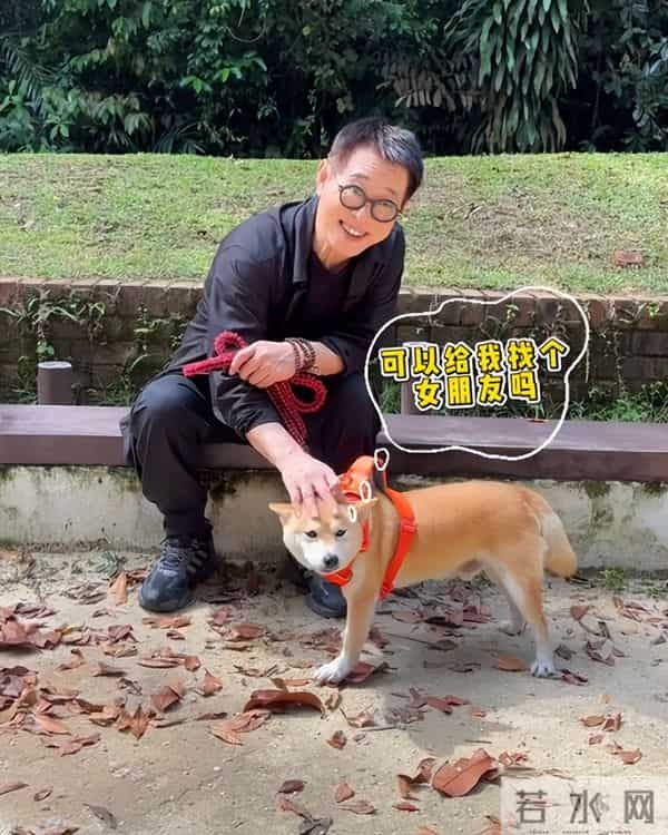 不装了!被"换心脏、换血"传闻缠身的李连杰,终于不再隐瞒