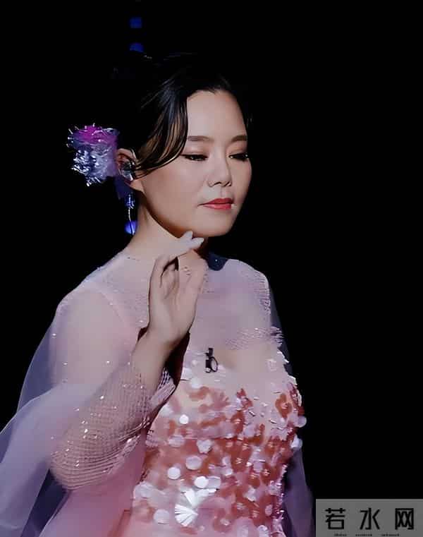 龚琳娜自曝离婚真相:搂着睡了20年,却等来丈夫新交的“女朋友”