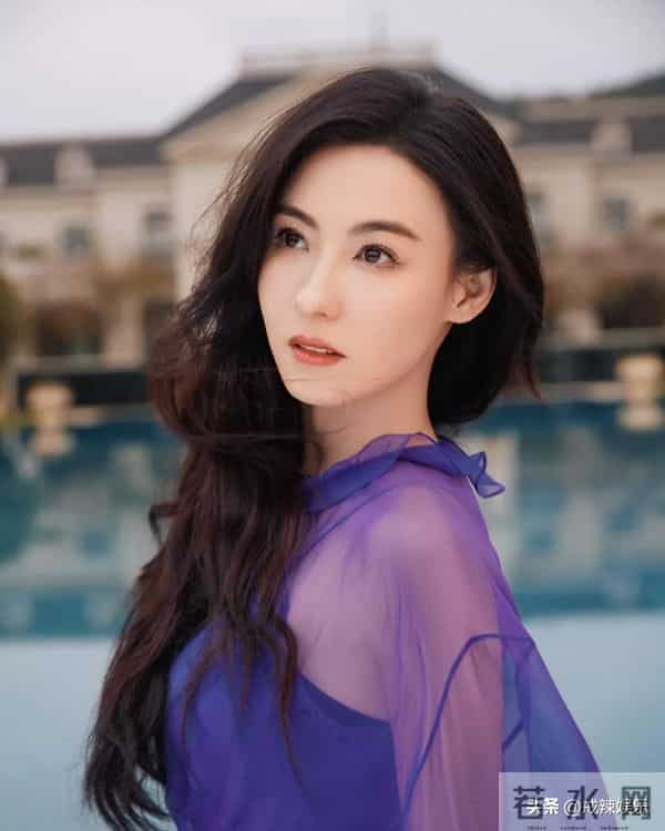 张柏芝庭审大哭,助理称手机掉马桶,滑稽戏一幕又一幕!金句频出