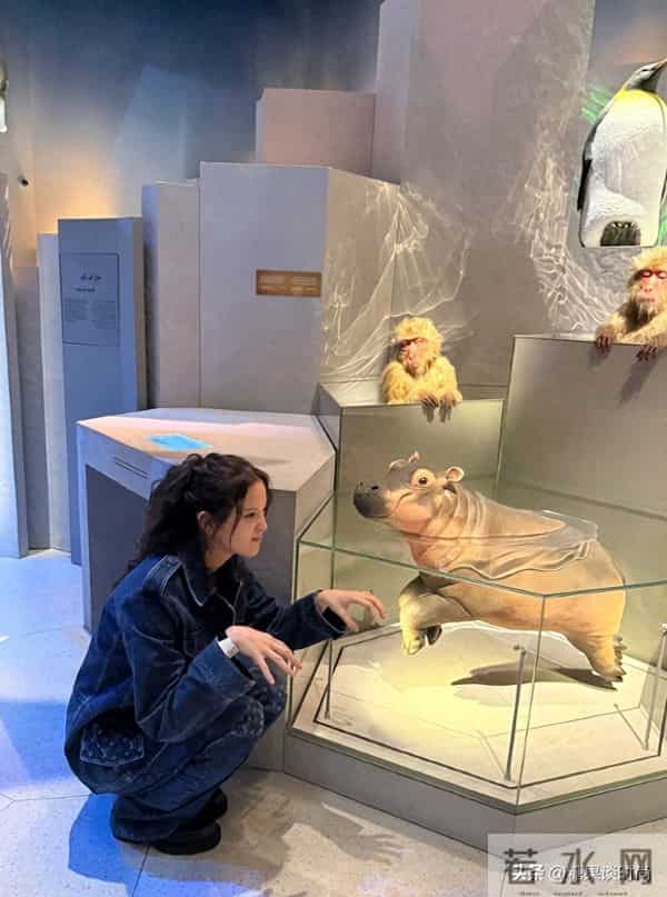 167cm的欧阳娜娜，身穿牛仔套装+黑色皮鞋，活泼可爱，又酷又甜